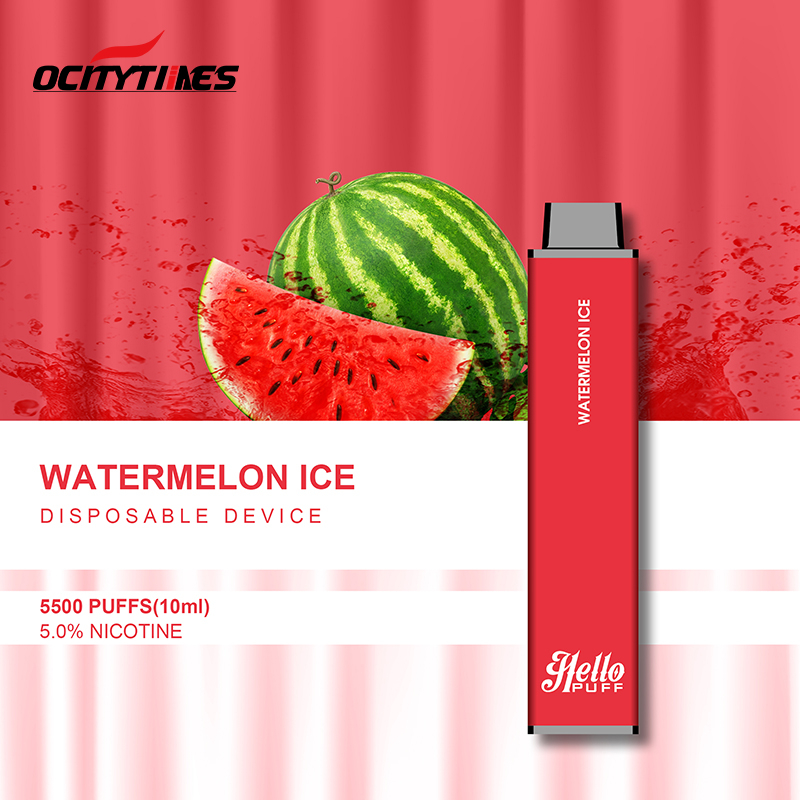 5% Nicotine 10 Fruit Flavor Mesh Coil E-Cigarette Disposable Vape Recharge 