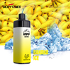 8000 Puffs/10000 Puffs Disposable Vape Dual Mesh Coil Adjustable Airflow 