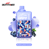 Blueberry Black Currant 3% Nicotine 8000 Puffs Removable E Cigarette