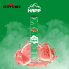 300Puffs HAPP 2% 5% Europe Hot Disposable E Cigarette